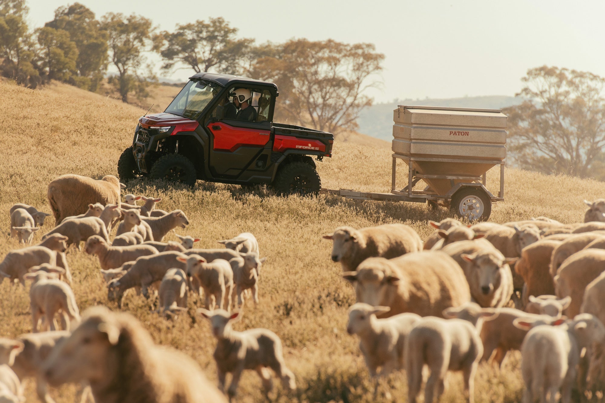 ATVs & UTVs