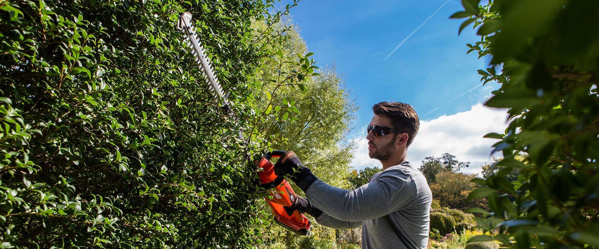 Hedge Trimmer