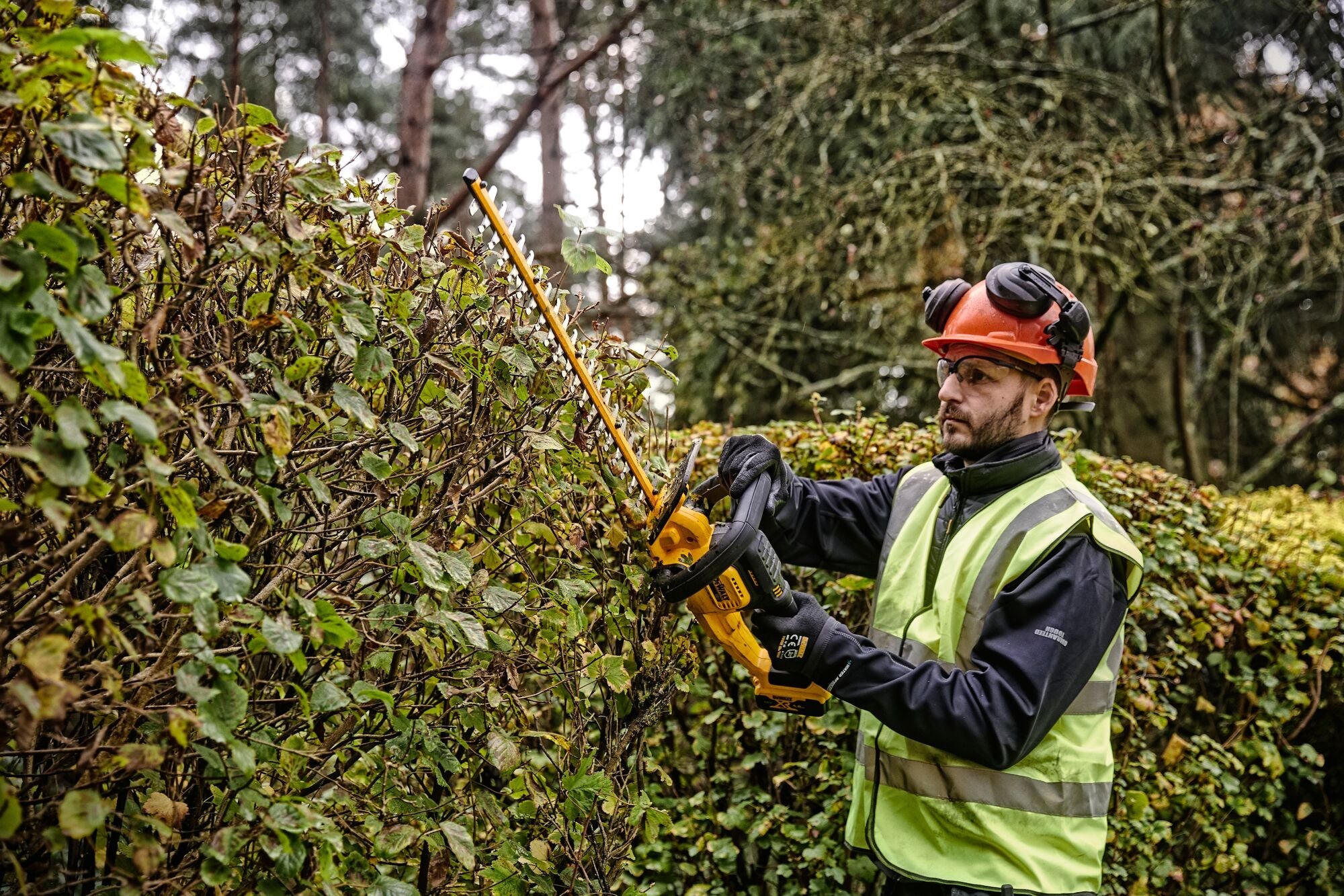 DeWALT Power Tools & Equipment