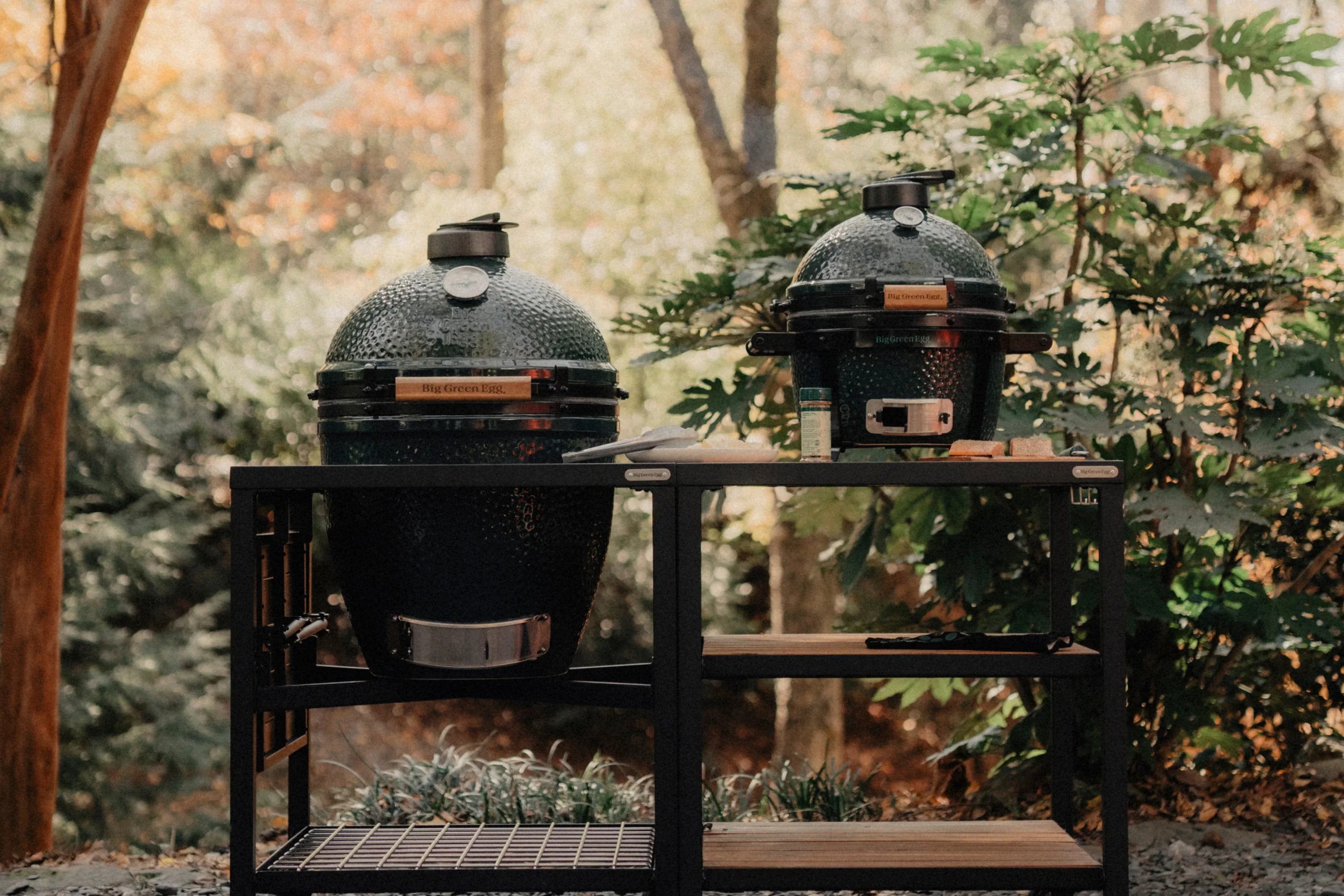 Big Green Egg BBQs & Accessories