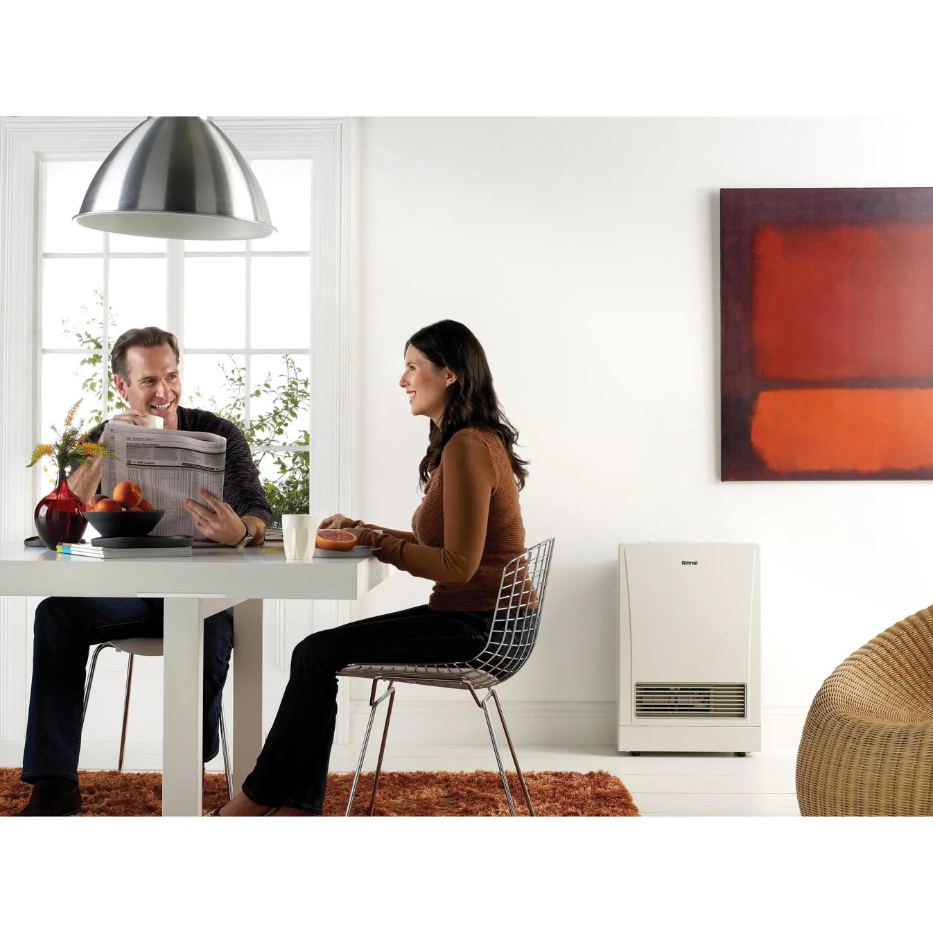 Rinnai Energysaver Kit 309FT3 Gas Flued Heater