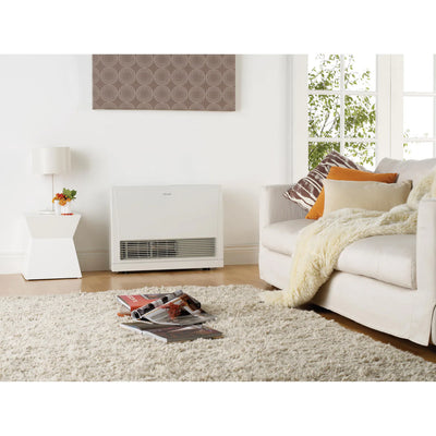Rinnai Energysaver Kit 559FT3 Gas Flued Heater