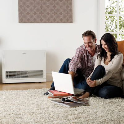 Rinnai Energysaver Kit 559FT3 Gas Flued Heater